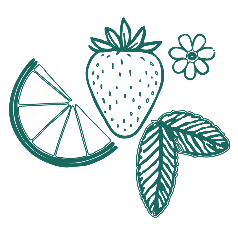 Wehl Plant Drops | Clean Label Flavor Drops for Water