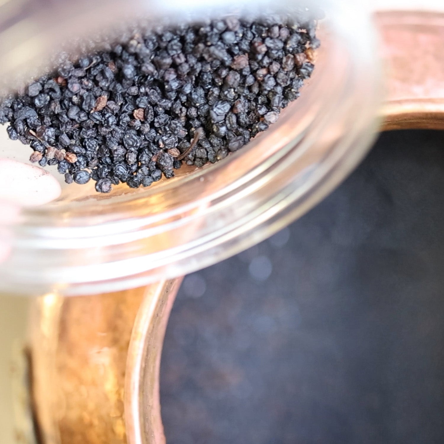 Elderberries being poured into a copper alembic still to make Plant Drops